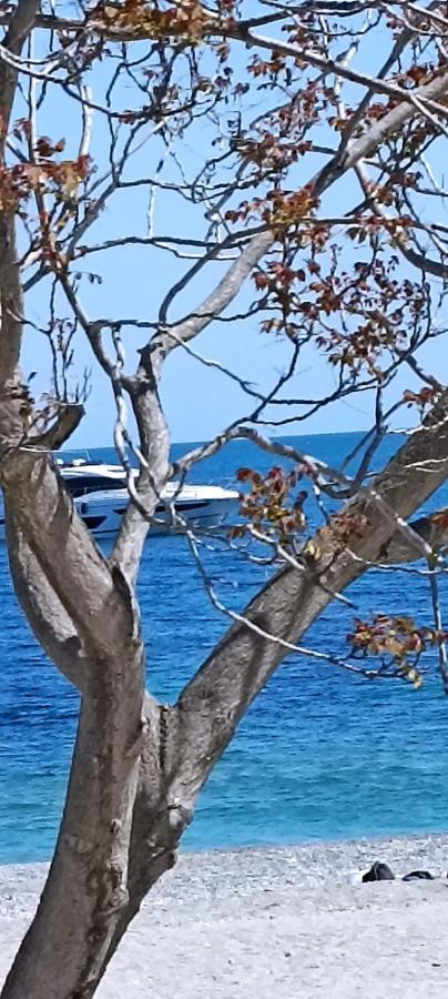 Apartament La Cita Ca - Vista Mare Finale Ligure Zewnętrze zdjęcie