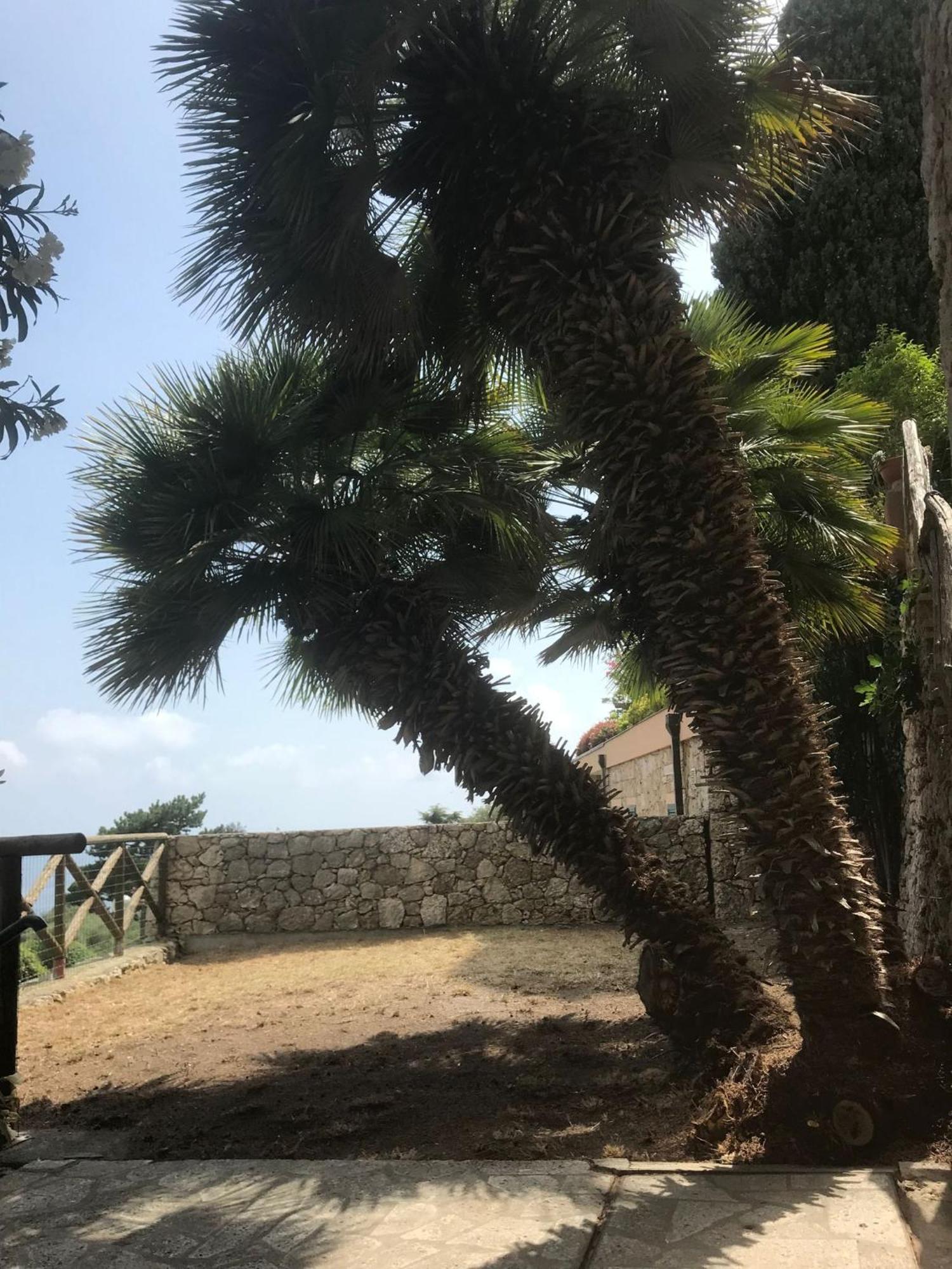 Apartament La Cita Ca - Vista Mare Finale Ligure Zewnętrze zdjęcie